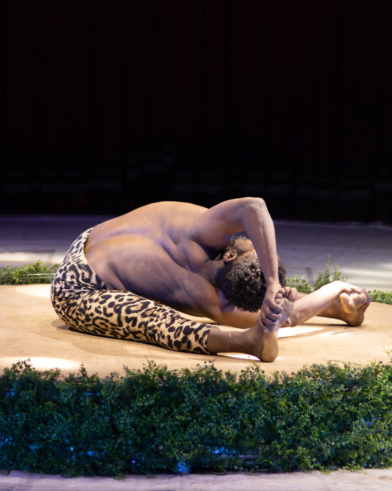 Fotografie din spectacolul Circo Bellucci 6